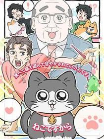 转生成猫的大叔